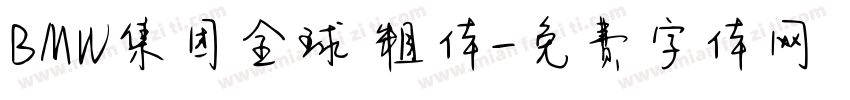 BMW集团全球 粗体字体转换